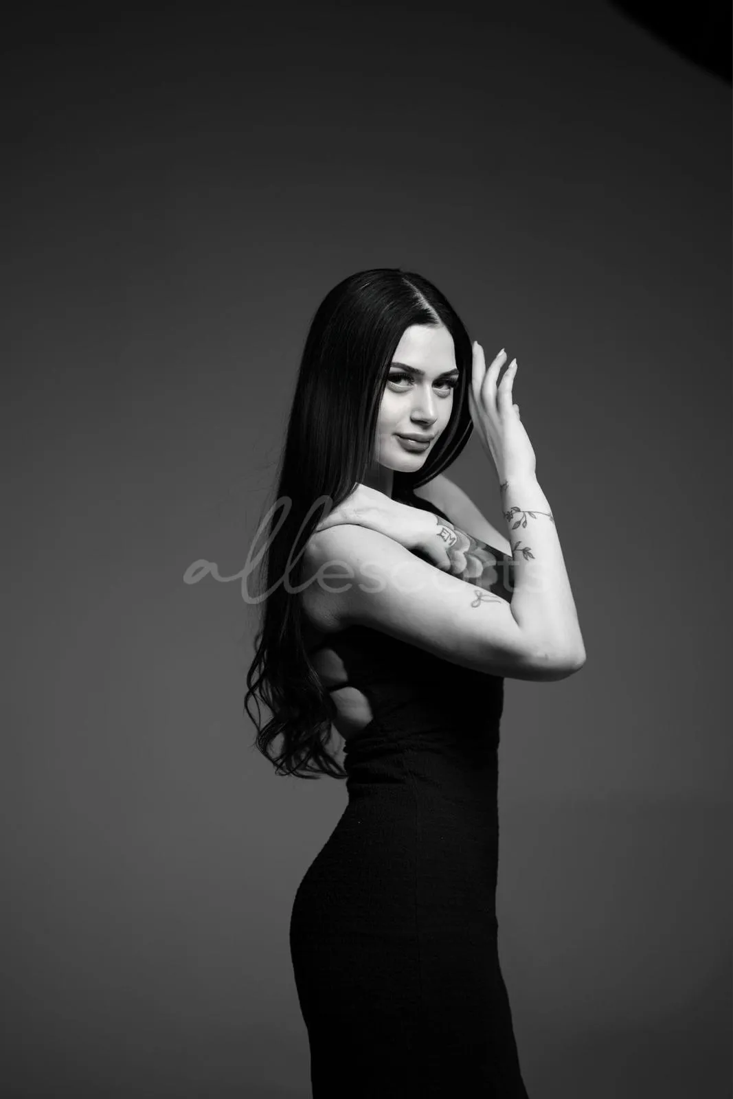 Sierra photo